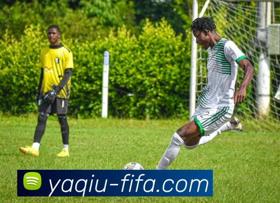 世界杯压球服务体系